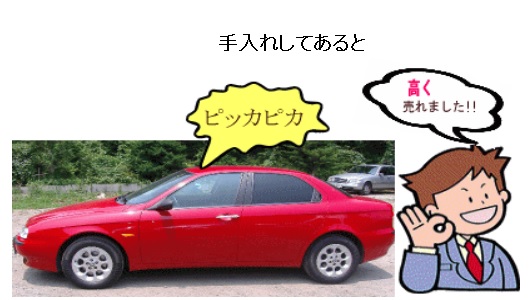 手入れしてある